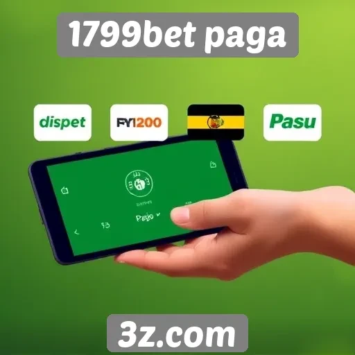 Análise das opções de pagamento no site 1799bet